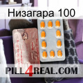 Низагара 100 new13